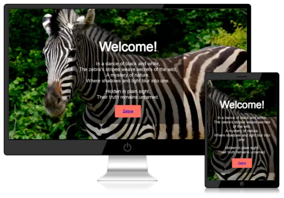 Marvelous Maximus Zebra Image